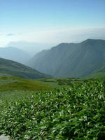 DSCF3906.jpg