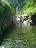 DSCF4374.JPG