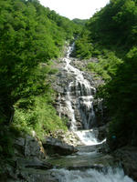 DSCF4394.JPG
