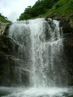 DSCF4425.JPG