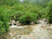 DSCF4461.JPG