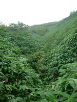 DSCF4488.JPG