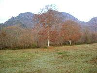 DSCF5278_s.jpg