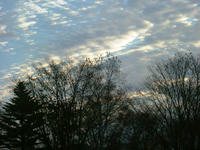 DSCF5274_s.JPG