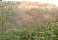 DSCF5491_s.JPG