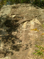 DSCF5895_s.JPG