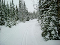 DSCF6160_s.JPG