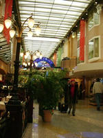 DSCF6546_s.JPG