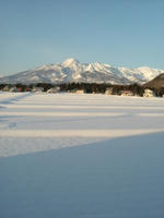 DSCF7059_s.JPG