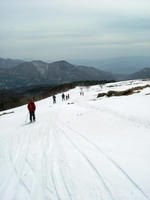 DSCF7417_s.JPG