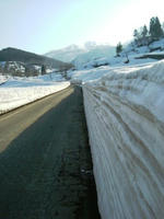 DSCF7523_s.JPG