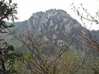 DSCF8408_s.jpg