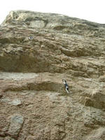 DSCF8430_s.JPG