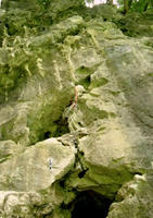 DSCF8516_s.JPG