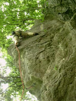 DSCF8524_s.JPG