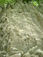 DSCF8539_s.JPG