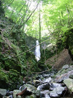 DSCF8689_s.JPG