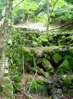 DSCF8701_s.JPG