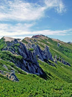 DSCF8793_s.jpg