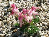 DSCF8784_s.JPG