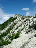 DSCF9451_s.JPG