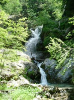 DSCF9303_s.JPG