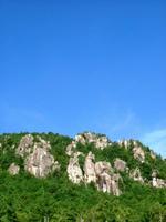 DSCF9487_s.JPG