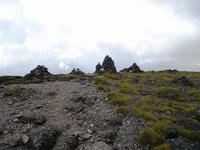 288n_alps08_s.jpg