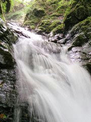 P9060407_s.JPG