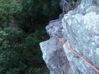 PB231257_s.JPG