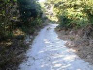 PC300336_s.JPG
