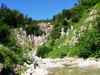 P8142219_s.JPG