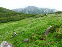 P8152598_s.JPG