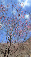 100130_111822.jpg