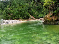P8130157_s.JPG