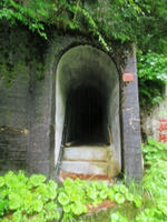 P8120063_s.JPG