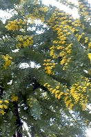 110309_084107.jpg
