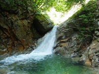 RIMG0056_s.JPG