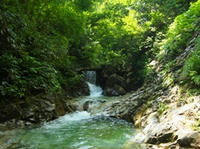 RIMG0057_s.JPG