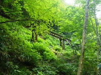 RIMG0059_s.JPG