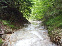 RIMG0093_s.JPG