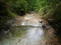 RIMG0305_s.JPG