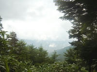 RIMG0175_s.JPG