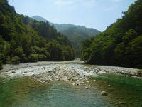 RIMG0207_s.JPG