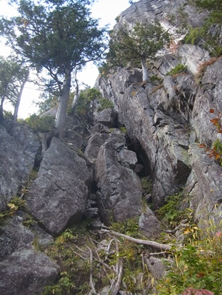 RIMG0034_s.JPG