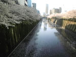 100406_152844.jpg