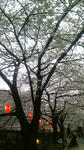 090401_172549.jpg