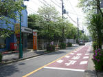 CIMG0961.jpg
