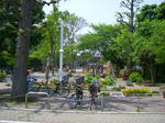 a7565e91.jpg