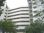 CIMG1196.jpg